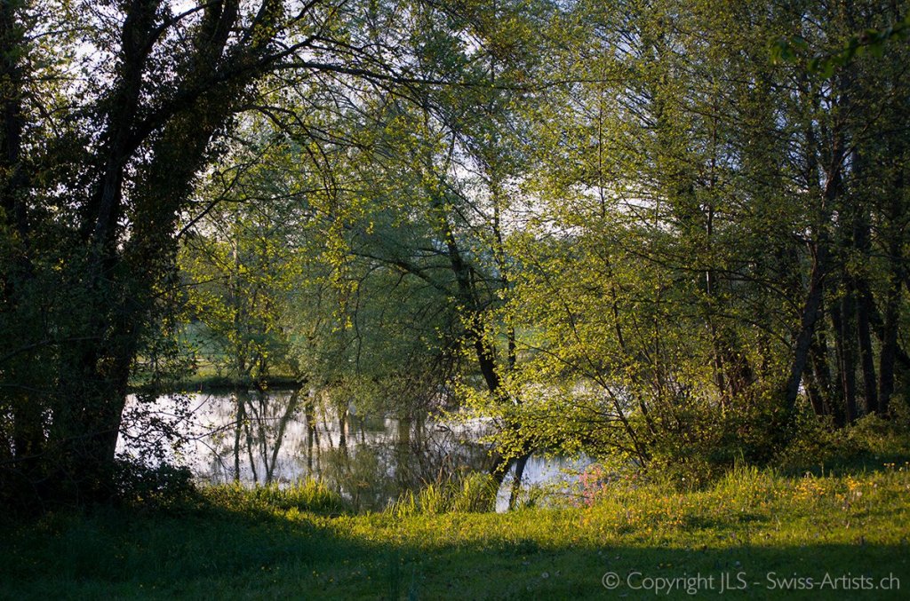 Der Teich nebenan